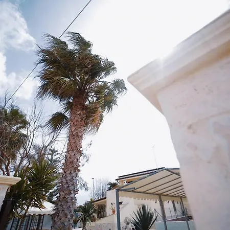 Delle Palme Lendinuso